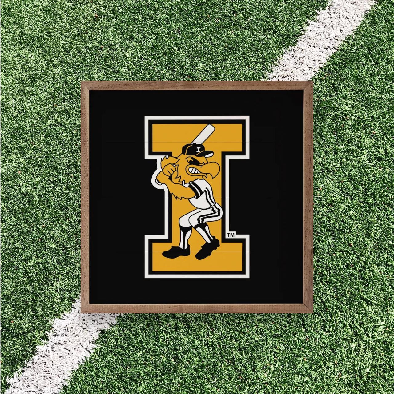 Iowa Hawkeyes Artwork | Iowa Hawkeyes Wall Art (Officially Licensed)Square