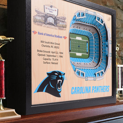 Carolina Panthers 25 Layer Stadium Art