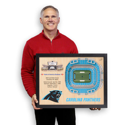 Carolina Panthers 25 Layer Stadium Art