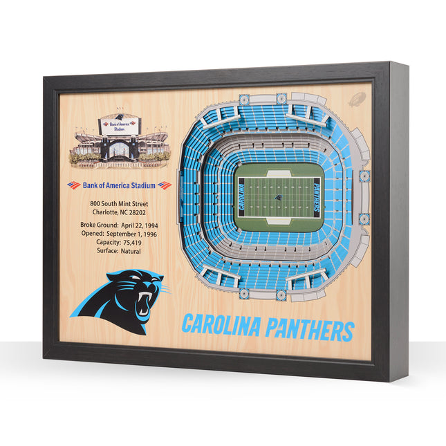 Carolina Panthers 25 Layer Stadium Art