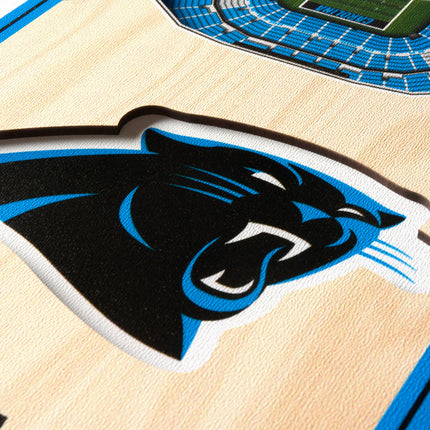 Carolina Panthers 3D Stadium 6x19 Banners