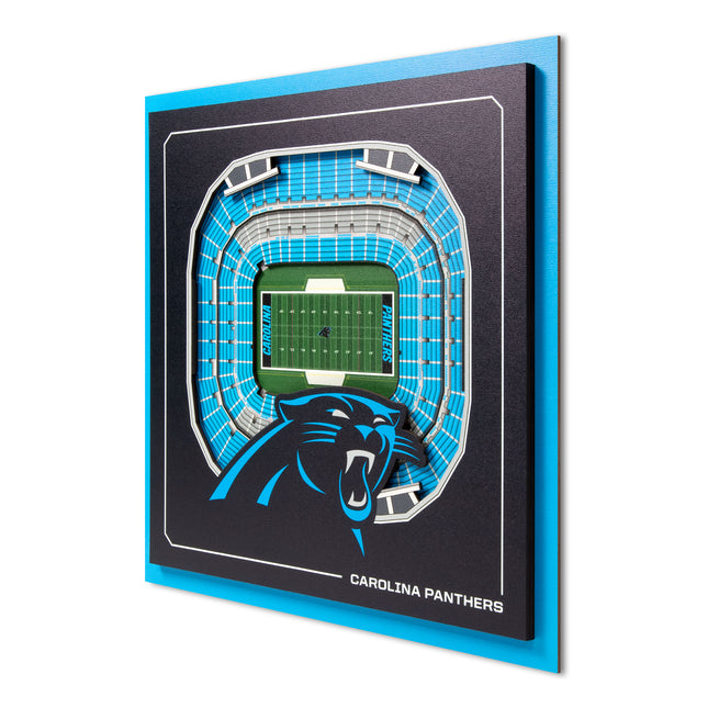 Carolina Panthers 3D StadiumView Wall Art 12x12