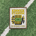 Load image into Gallery viewer, Iowa Hawkeyes Artwork | Iowa Hawkeyes Wall Art (Officially Licensed)
