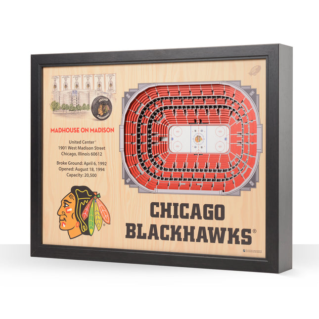 Chicago Blackhawks 25 Layer Arena Art