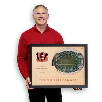 Cincinnati Bengals 25 Layer Stadium Art