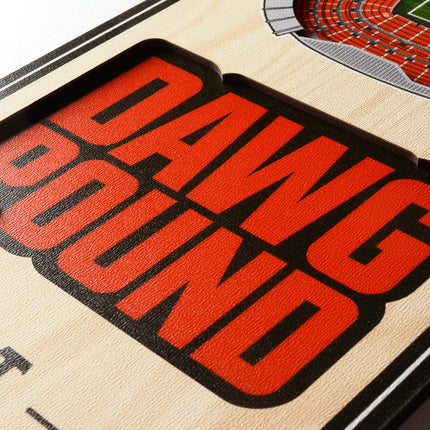 Cleveland Browns 3D Stadium 6x19 Banners