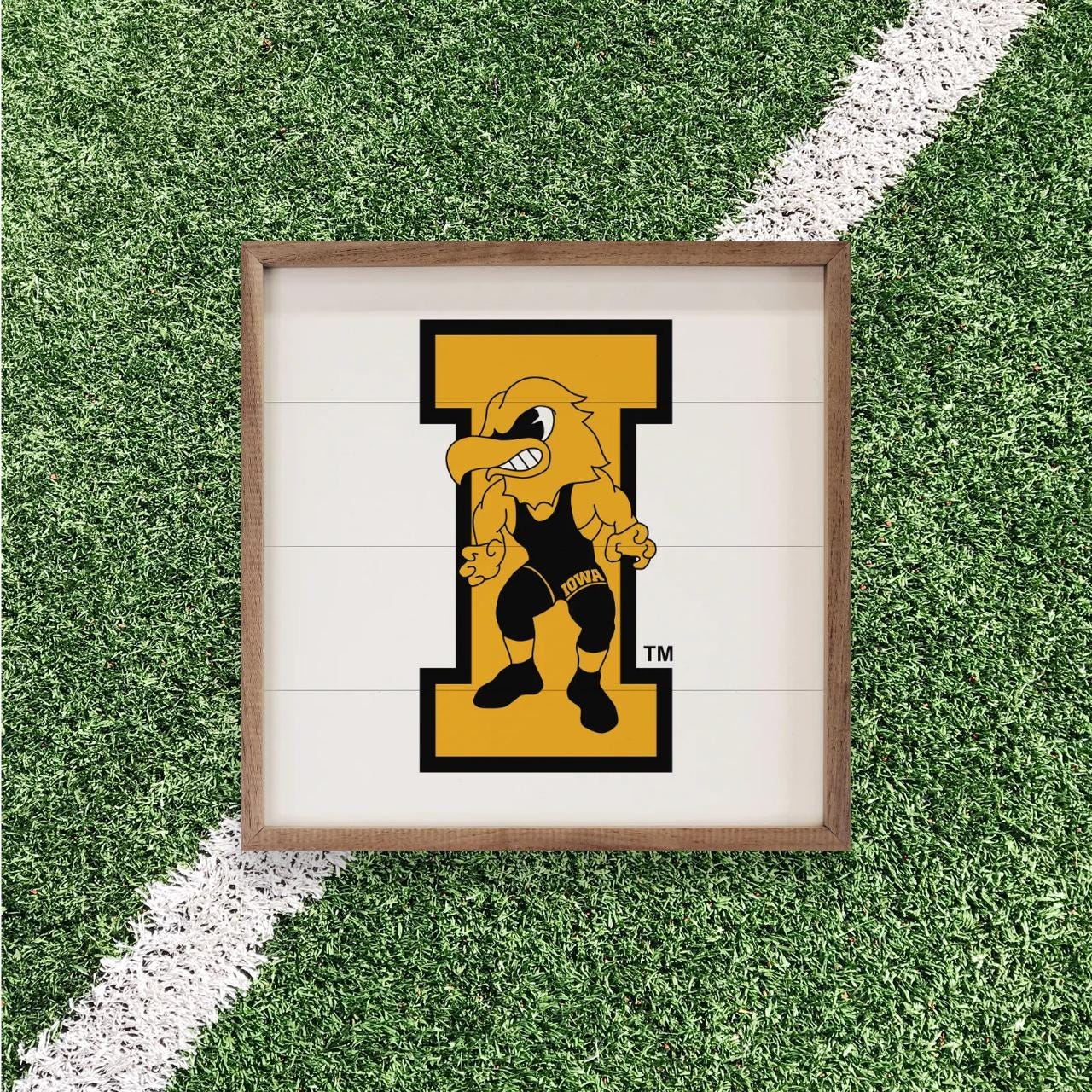 Iowa Hawkeyes Artwork | Iowa Hawkeyes Wall Art (Officially Licensed)Square