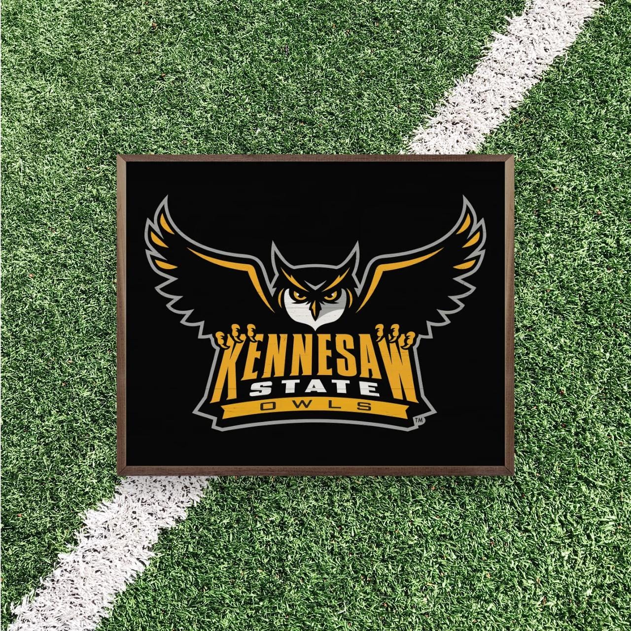 Kennesaw State Owls Artwork | Kennesaw State Owls Wall Art (Officially Licensed)Square