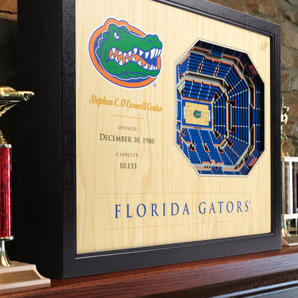 Florida Gators 25-Layer StadiumViews 3D Wall Art