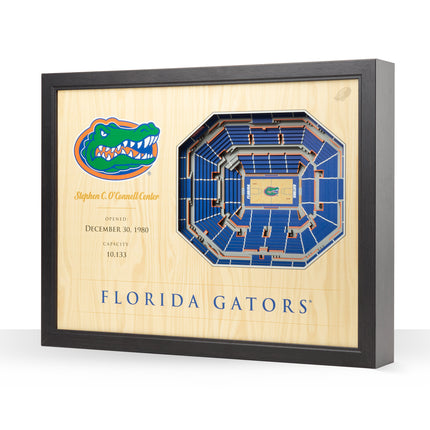 Florida Gators 25-Layer StadiumViews 3D Wall Art