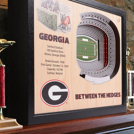 Georgia Bulldogs 25-Layer StadiumViews 3D Wall Art