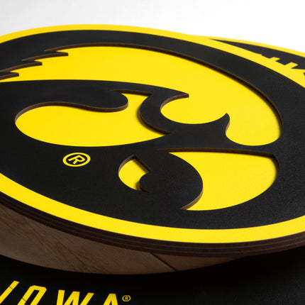 Iowa Hawkeyes 3DX Circle Backer Wall Art