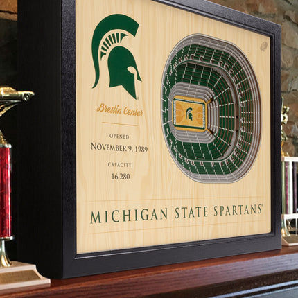 Michigan State Spartans 25-Layer StadiumViews 3D Wall Art
