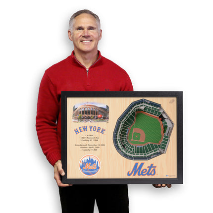 New York Mets 25 Layer Stadium Art
