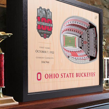 Ohio State Buckeyes 25-Layer StadiumViews 3D Wall Art