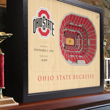 Ohio State Buckeyes 25-Layer StadiumViews 3D Wall Art