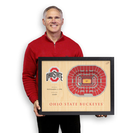 Ohio State Buckeyes 25-Layer StadiumViews 3D Wall Art