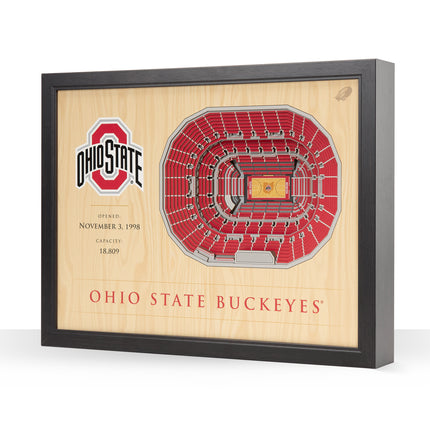 Ohio State Buckeyes 25-Layer StadiumViews 3D Wall Art