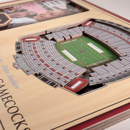 South Carolina Gamecocks 3D StadiumView Picture Frame