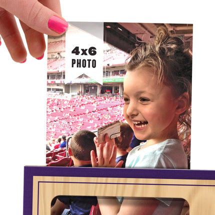 TCU Horned Frogs 3D StadiumView Picture Frame