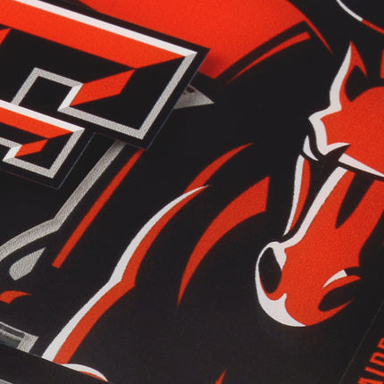 Texas Tech Red Raiders 3D Logo Series Coasters