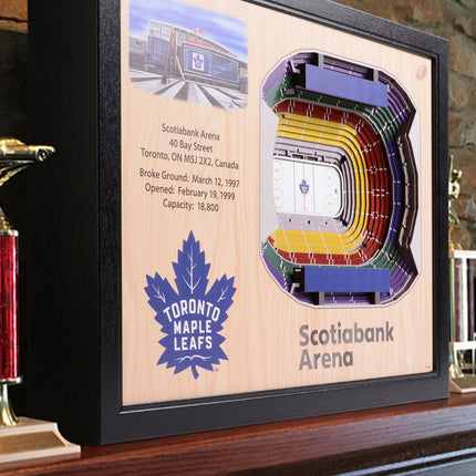 Toronto Maple Leafs 25 Layer Arena Art