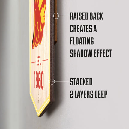 USC Trojans 3D Stadium 6x19 Banners